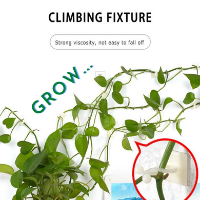 60 Pcs Combo Buy 1 Get 1 Free Offer 5in1 Plant Clip|Balcony|Garden|Home |Office
