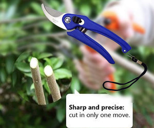 0465 Stainless Steel Garden Scissors - 