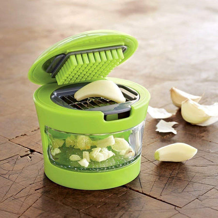 2108  Ginger Garlic Crusher for Kitchen - 