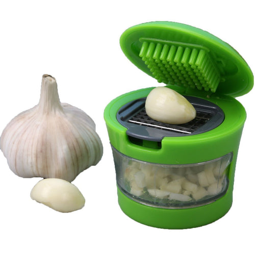 2108  Ginger Garlic Crusher for Kitchen - 